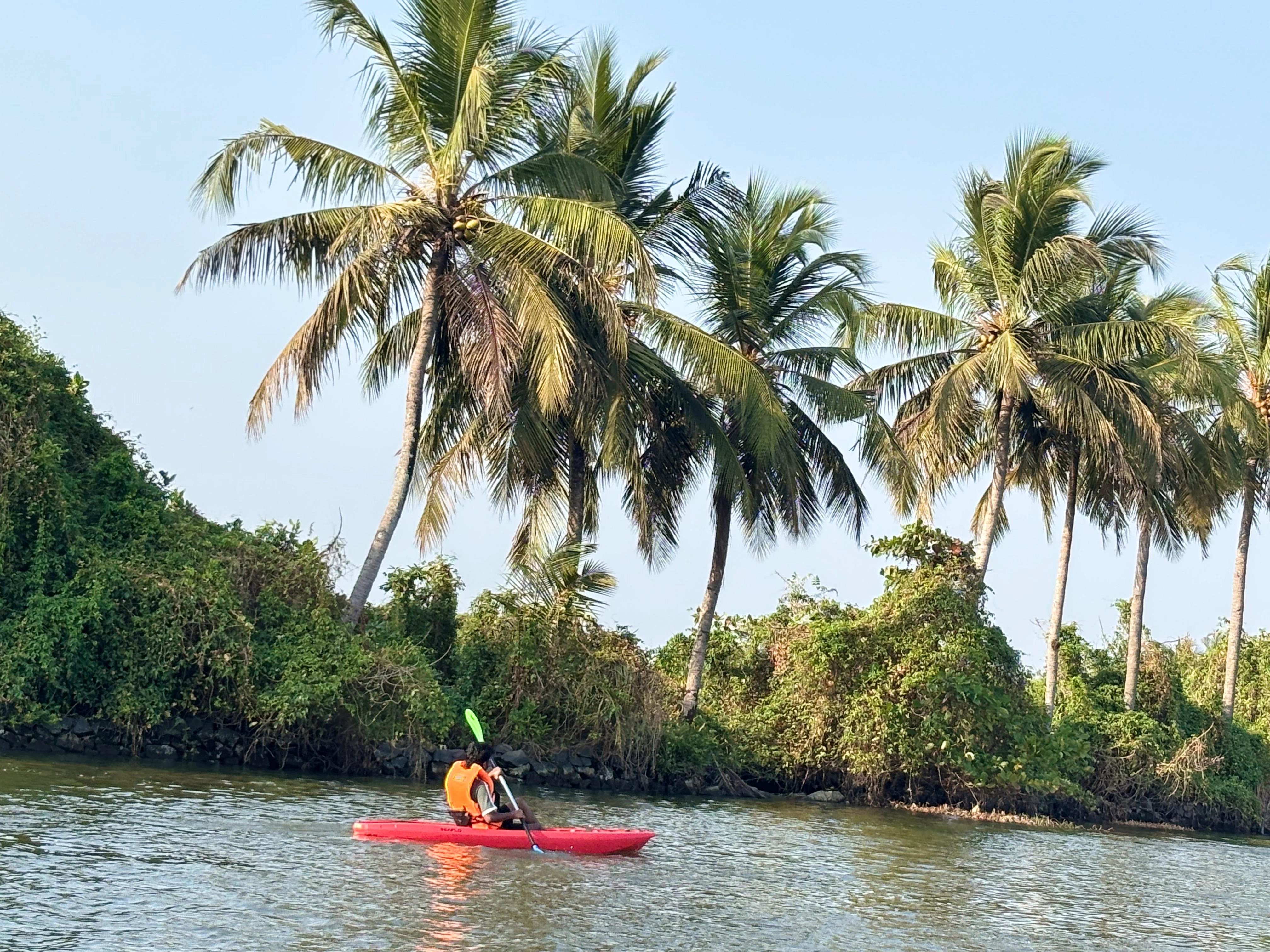 Kayaking through Kerala Backwaters and Palm Groves