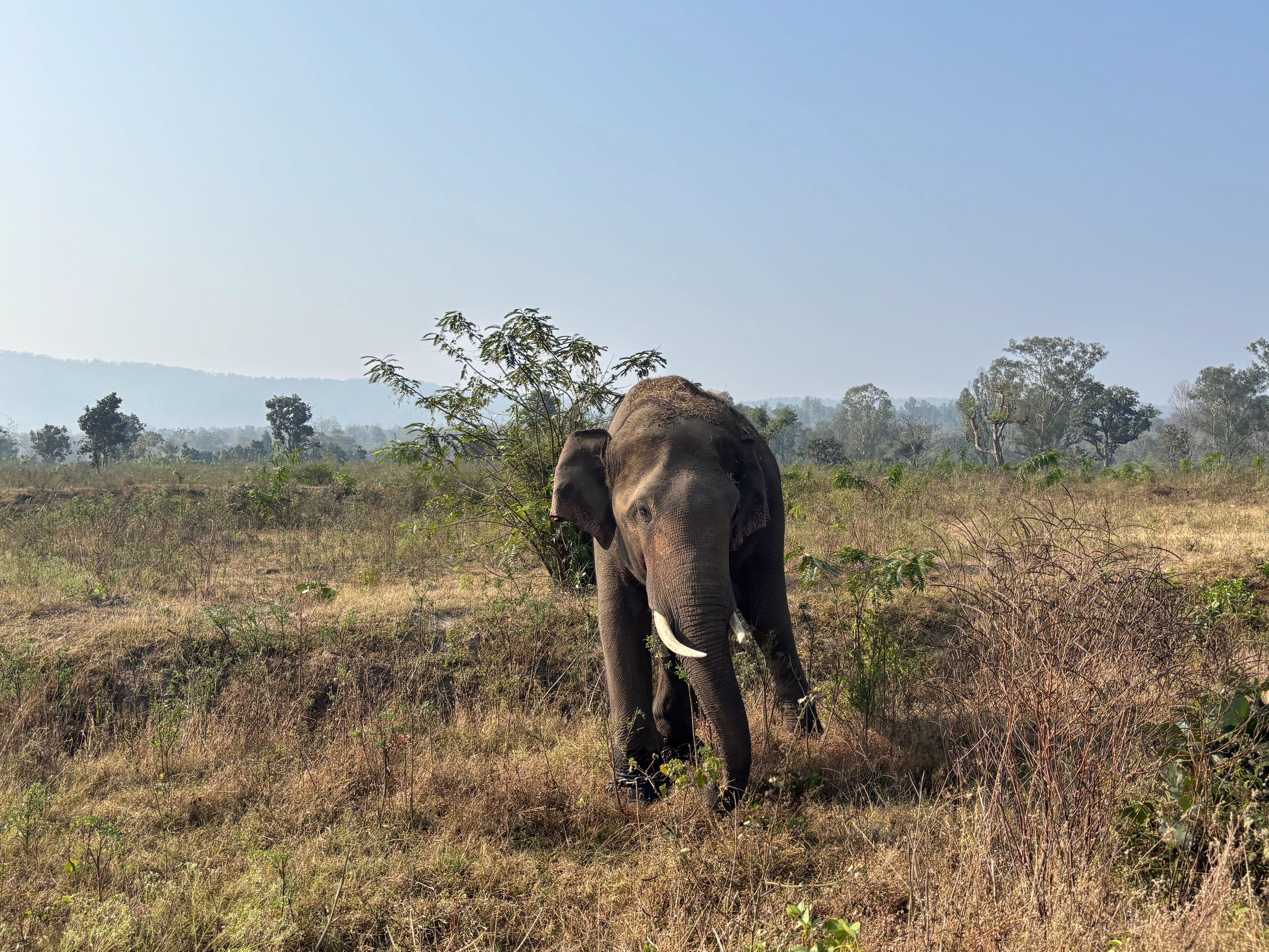 Wildlife and Nature in Thekkady Periyar Sanctuary