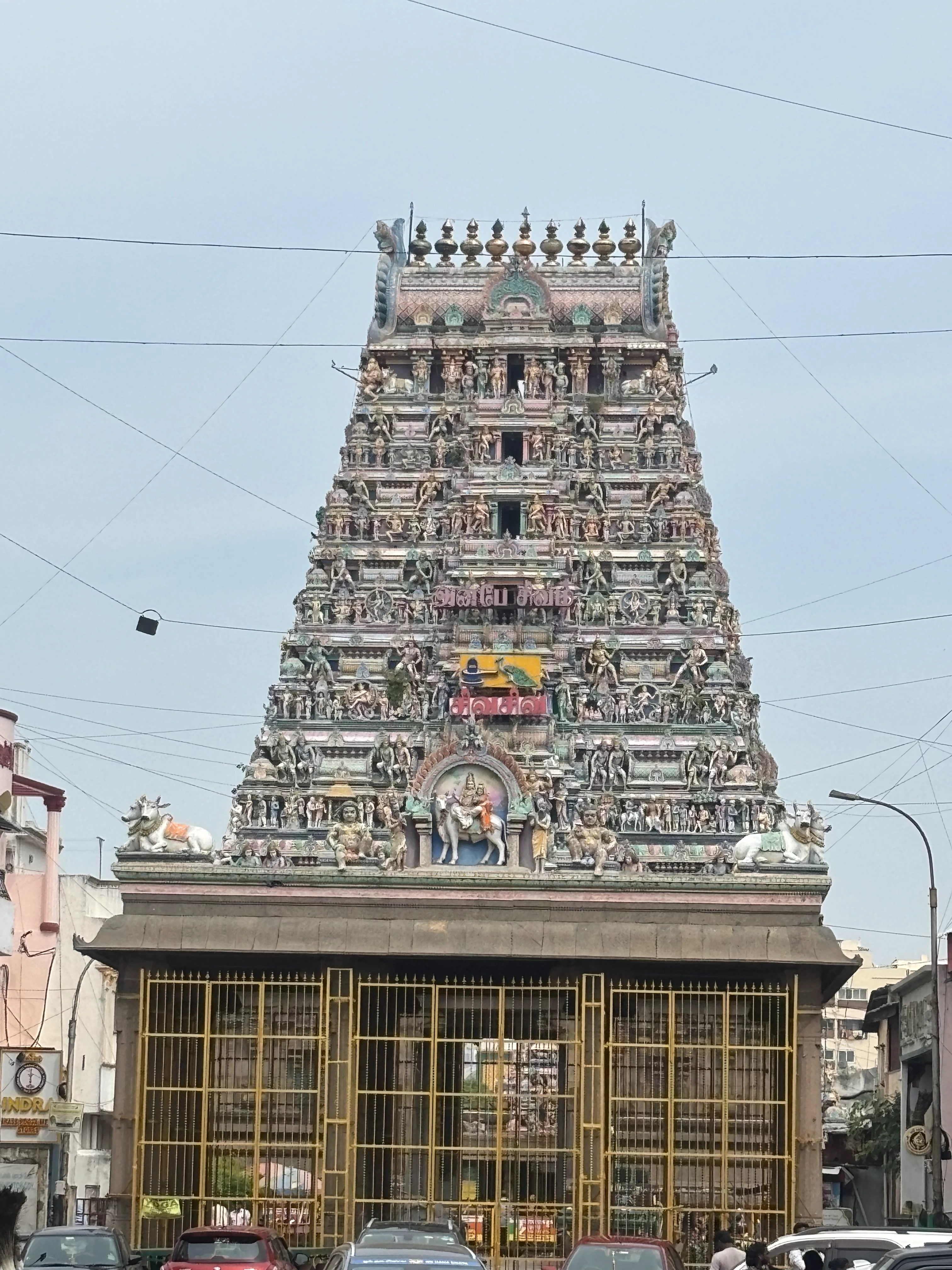 Intricate Dravidian Temple Tower in Kanchipuram